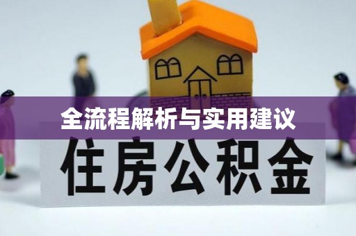 江夏全流程解析与实用建议