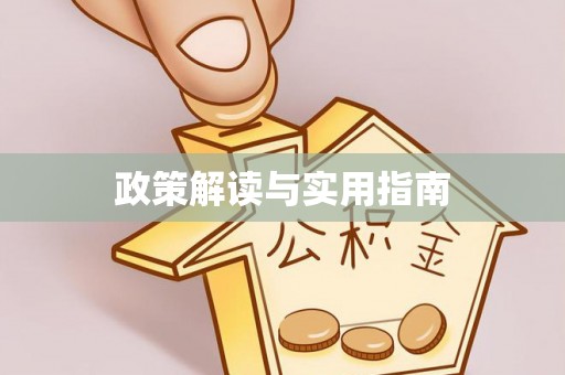 江夏政策解读与实用指南