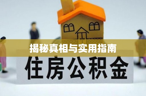 江夏揭秘真相与实用指南