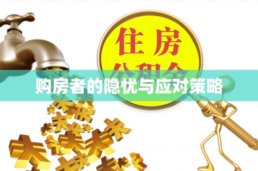 江夏购房者的隐忧与应对策略