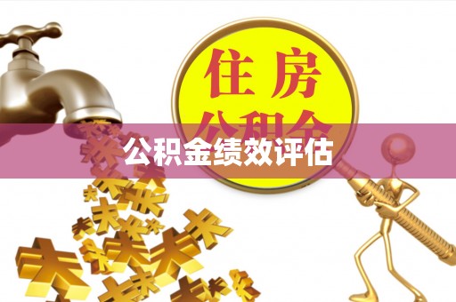 江夏公积金绩效评估