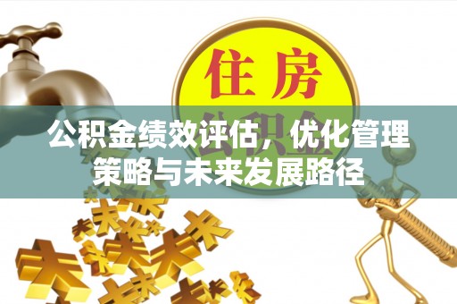 江夏公积金绩效评估，优化管理策略与未来发展路径