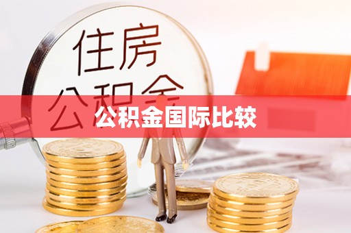 江夏公积金国际比较