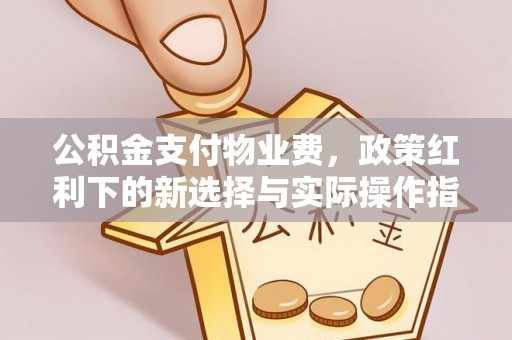 江夏公积金支付物业费，政策红利下的新选择与实际操作指南