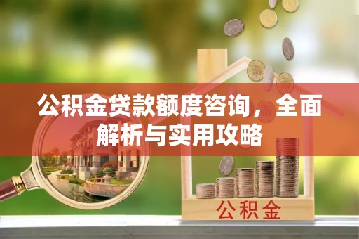 江夏公积金贷款额度咨询，全面解析与实用攻略