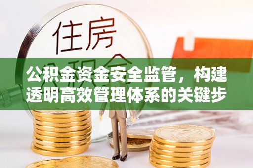 江夏公积金资金安全监管，构建透明高效管理体系的关键步骤