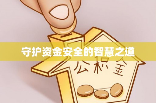 江夏守护资金安全的智慧之道