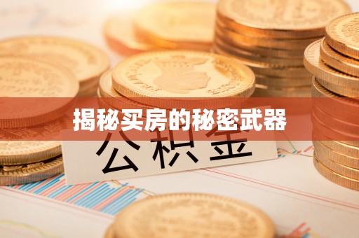 江夏揭秘买房的秘密武器