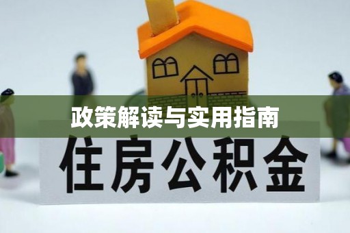 江夏政策解读与实用指南