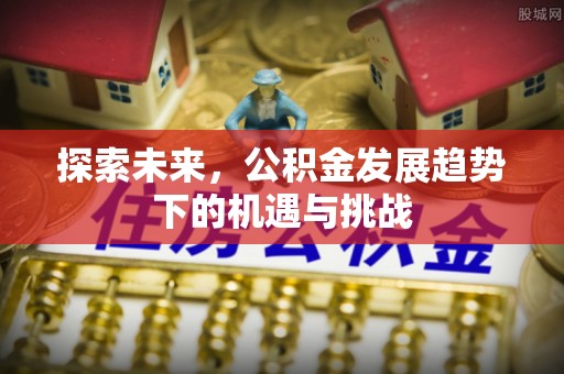 江夏探索未来，公积金发展趋势下的机遇与挑战