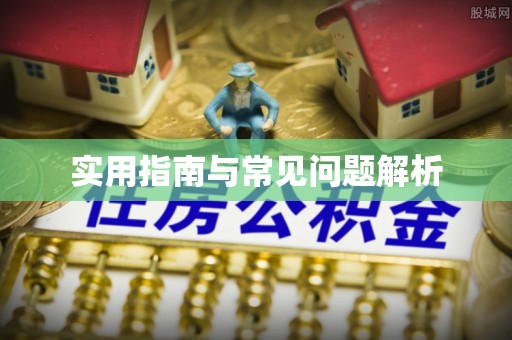 江夏实用指南与常见问题解析