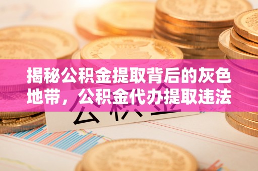 江夏揭秘公积金提取背后的灰色地带，公积金代办提取违法不？