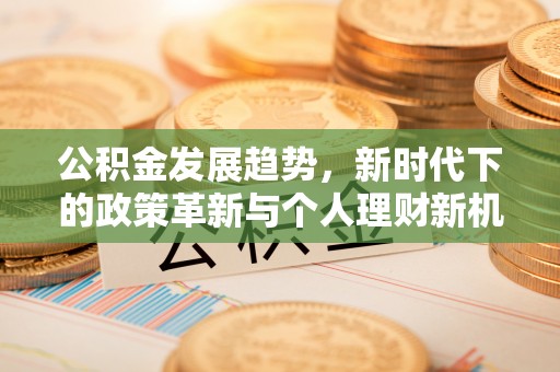 江夏公积金发展趋势，新时代下的政策革新与个人理财新机遇