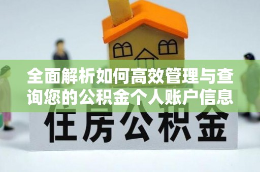 江夏全面解析如何高效管理与查询您的公积金个人账户信息