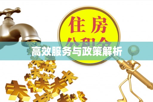 江夏高效服务与政策解析