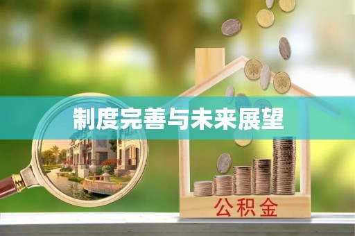 江夏制度完善与未来展望