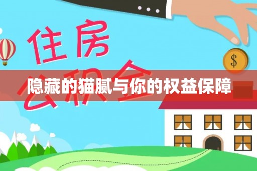 江夏隐藏的猫腻与你的权益保障