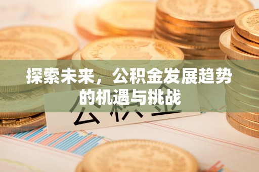 江夏探索未来，公积金发展趋势的机遇与挑战