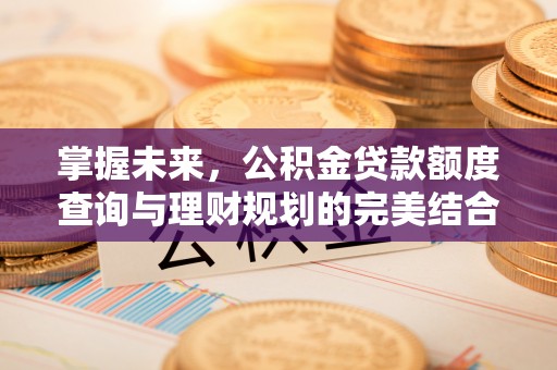 江夏掌握未来，公积金贷款额度查询与理财规划的完美结合
