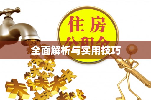 江夏全面解析与实用技巧