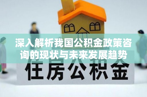 江夏深入解析我国公积金政策咨询的现状与未来发展趋势