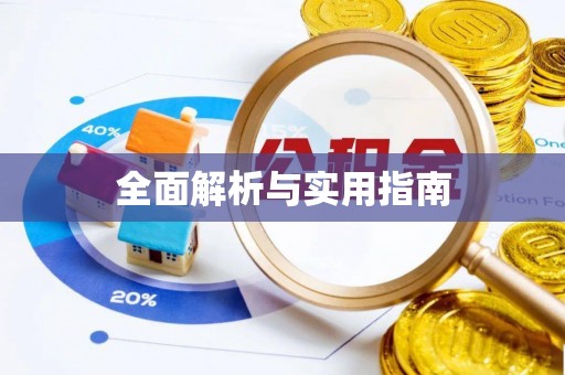江夏全面解析与实用指南