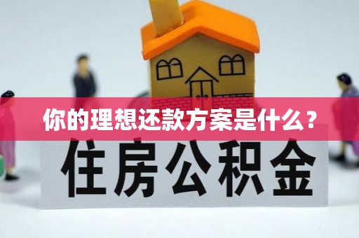 江夏你的理想还款方案是什么？