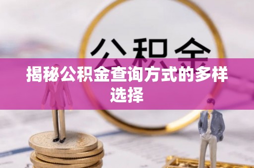 江夏揭秘公积金查询方式的多样选择