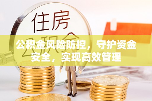 江夏公积金风险防控，守护资金安全，实现高效管理