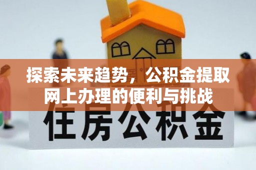 江夏探索未来趋势，公积金提取网上办理的便利与挑战