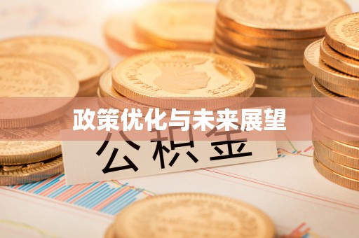 江夏政策优化与未来展望