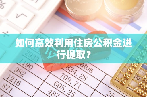 江夏如何高效利用住房公积金进行提取？