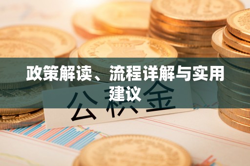 江夏政策解读、流程详解与实用建议