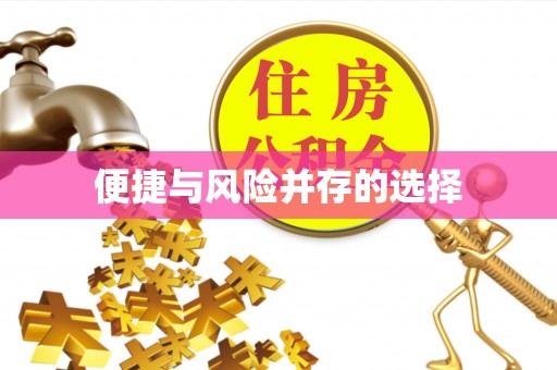 江夏便捷与风险并存的选择