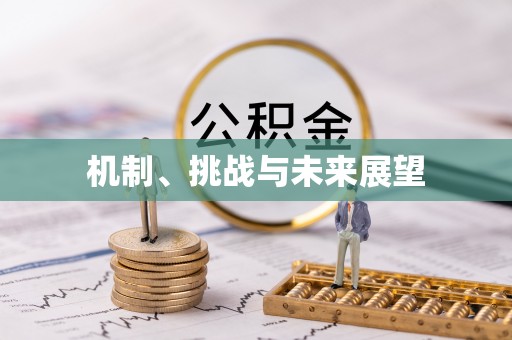 江夏机制、挑战与未来展望