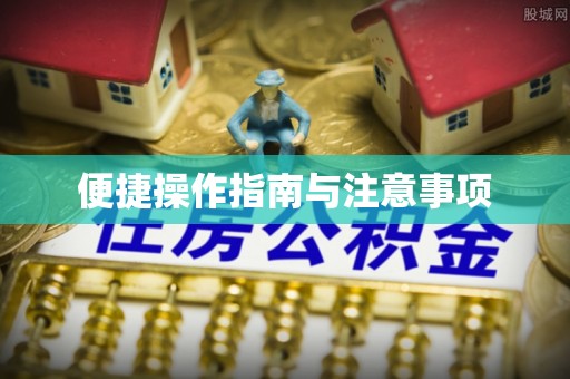 江夏便捷操作指南与注意事项