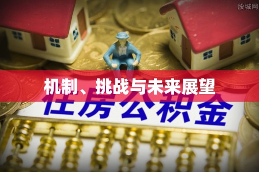 江夏机制、挑战与未来展望
